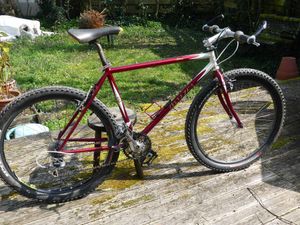 Vends Breezer Storm 95 - 1