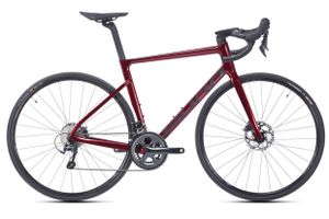 Vélo carbone Endurance ASPHALT S3 SUNN - 1