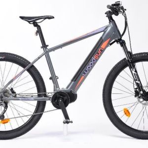 VTT électrique Woodsun  - 1