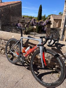 Basso Diamante  - 1