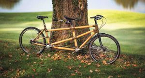 Tandem bambou - 1