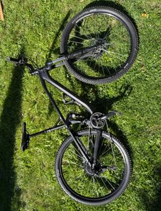 VTT,  Canyon, Canyon neuron  - 1