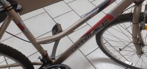 velos femme - 1