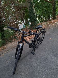 Vélo LICORNE  - 1