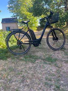 Vae Winora sinus tria 7 eco taille L - 1