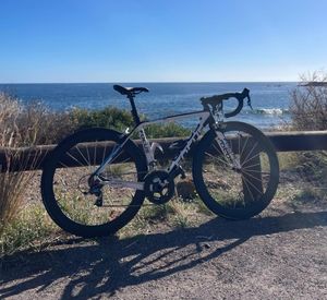 Focus Izalco - 1