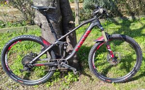 canyon nerve AL - 1