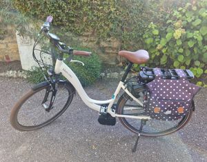 Vélo électrique Riese & Müller blueLABEL Swing – B... - 1