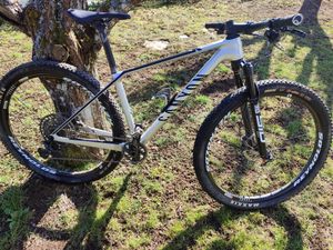 VTT canyon carbone  - 1