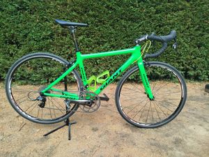 Giant TCR carbone - 1
