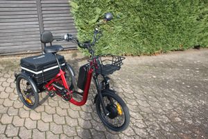 Tricycle Damius à assistance électrique - 1