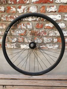 roue arrière gipiemme pignon fixe - 1