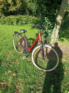Vélo électrique Winora Tria N7 – Bosch Active Line... - 1