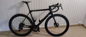 Bianchi specilicima  - 1