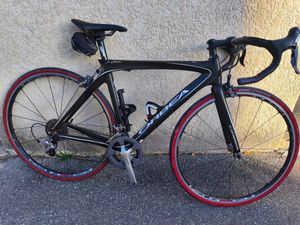 Orbea orca  - 1