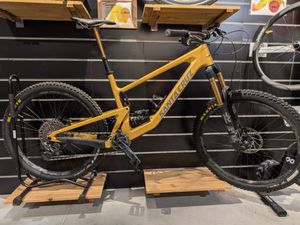 Santa Cruz BRONSON - 1