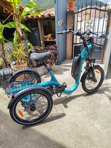 Tricycle adulte DAMIUS électrique "EVASION Moteur ... - 1