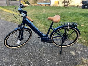 Granville bleu E-integrated 20 500W - 1