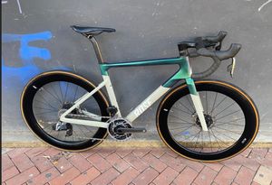 Rose Xlite 06 - 1