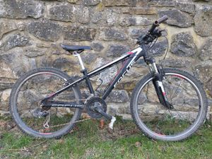 Focus raven 24" - 1