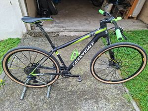 Cannondale F29 team - 1