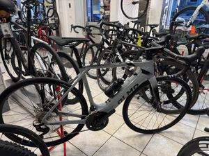 Olmo e-bro - 1
