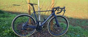 Orbea orca - 1