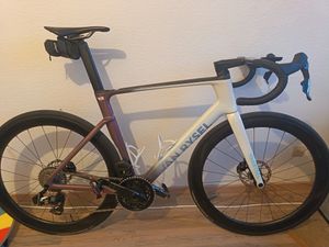 Rcr pro de 2026 - 1