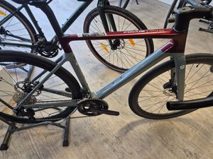 Focus izalco Max  - 1