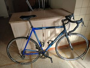 Ridley Gerion - 1