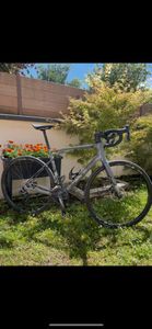 Lapierre pulsium - 1