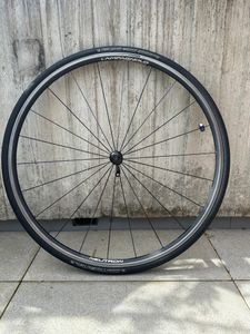 Rayon De Roue Arrière Gauche Campagnolo Eurus 276,5 Mm - WH-107SHB - Noir