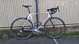 TIME PROTEAM Taille L - 1