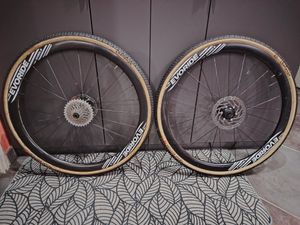 Paire de roues evoride à boyaux  - 1