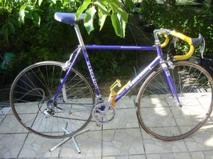 VELO MARCARINI DEDACCIA COLLECTION - 1