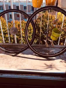 Roues Bontrager RL  - 1