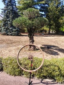 Roue en bois pour collectionneur - 1