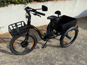 Tricycle électrique LEADER FOX LOVELO 2026 NOIR BR... - 1