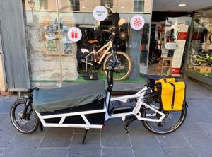 Cargo Load Riese&Muller - 1