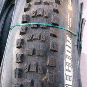 Maxxis  Dissector - 1
