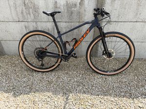 Ridley probe RS - 1