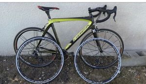 Orbea orca  - 1