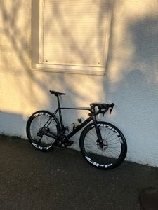 Orbea orca  - 1