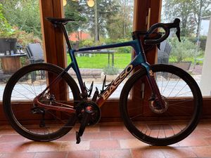 Basso SV viola galaxy  - 1