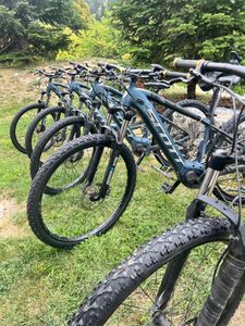 Vélos électriques S/M/L - 1
