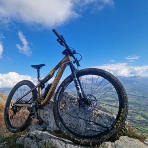 Canyon CF 7 2024 - 1