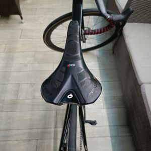 Selle prologo  - 1
