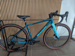 Bianchi arcadex  - 1