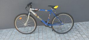 Vtt Globe trotter  - 1