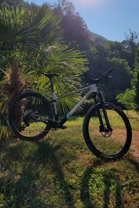 VTT berria bravo  - 1